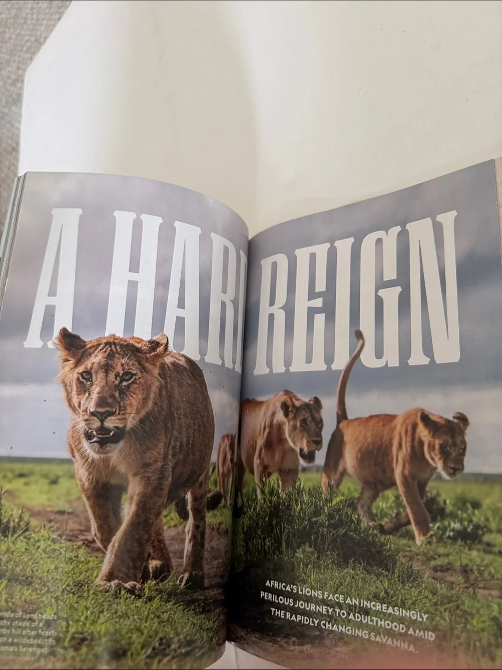 National Geographic Magazine Sept 2026 the end of aging